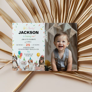 Invitation Chien Chien Chien Chien Premier Anniversaire Photo