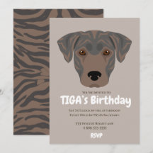 Chien chiot mignon de la fête de TIGA