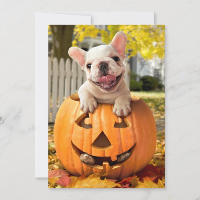 Invitation Chien dans Jack-o-Lantern (Devant)