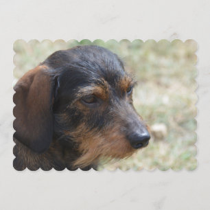 Invitation Chien de Daschund