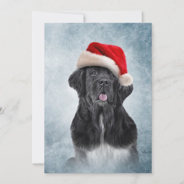 Invitation Chien de Terre-Neuve en casquette rouge du Père No (Devant)