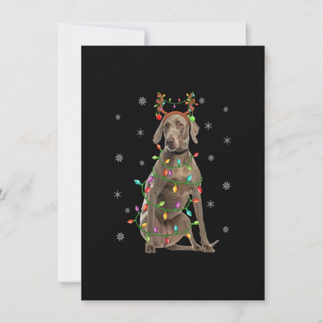 Invitation Chien Weimaraner Noël Éclairage Renne Weimaraner C (Devant)
