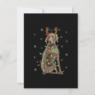 Invitation Chien Weimaraner Noël Éclairage Renne Weimaraner C