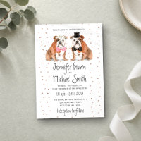 Chiens de mariage Bouledogue Anglais