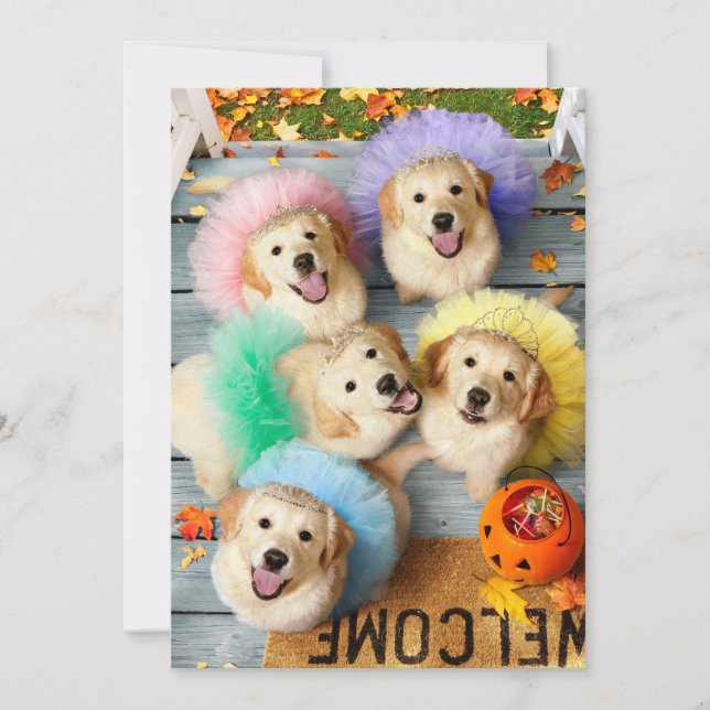 Invitation Chiens dorés Trick or Treating (Devant)