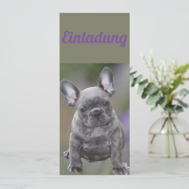 Invitation chiot bouledogue français Bouledogue Français (Debout devant)