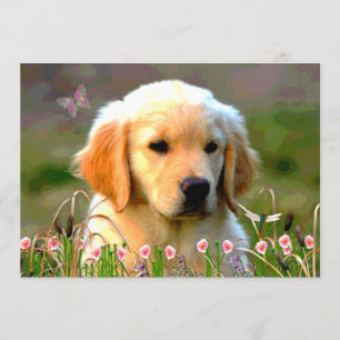 Invitation Chiot d'or d'Austin Labrador