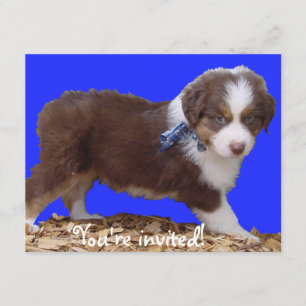 Invitation Chiot rouge Aussie Tri