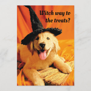 Invitation Chiots avec chapeau de sorcière et balai
