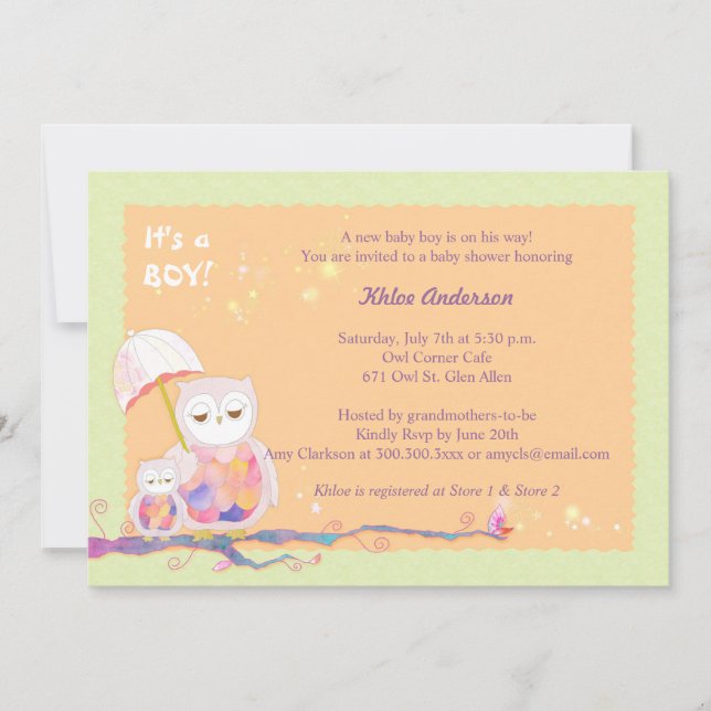 Invitation Chouettes Whimsical Baby Boy Douche (Devant)