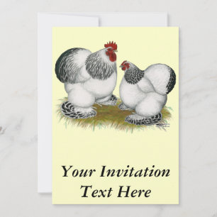 Invitation Cochins : Bantams colombiens