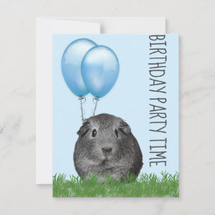 Invitation Cochon d'Inde Girly Blue Balloon Anniversaire Pers