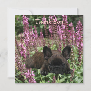 Invitation Cœur de Bouledogue français Bulldog français