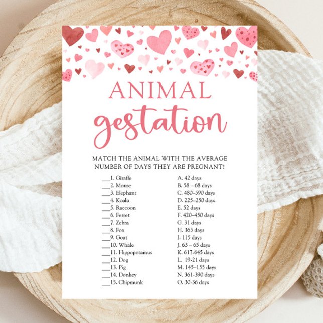Invitation Coeurs Valentine Baby shower Animal Gestation Jeu (Watercolor Cute Pink Red Hearts Valentine A Little Sweetheart Girl Animal Gestation Baby Shower Game)