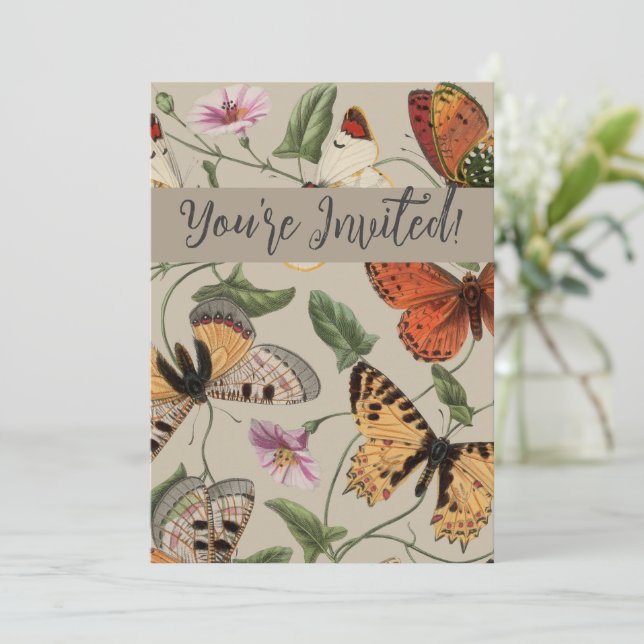 Invitation Collection de la papillon Moth Nature Dessin (Debout devant)