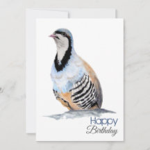 COMPLEANNO del cacciatore di cotourne ici