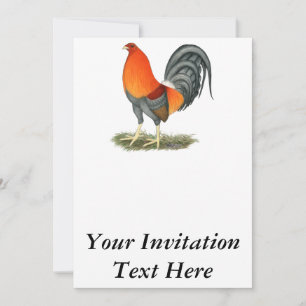 Invitation Coq de combat bleu rouge
