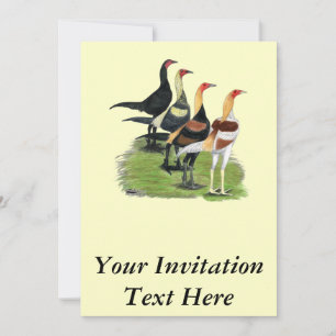 Invitation Coq de jeu moderne