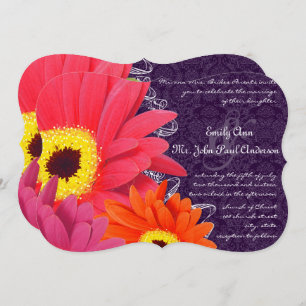 Invitation Coral Fuchsia Eggplant Gerber Daisy Mariage