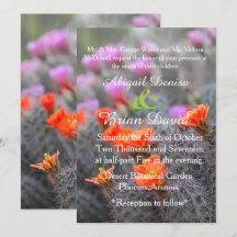 Couleurs du cactus du désert fleurit arrière - pla