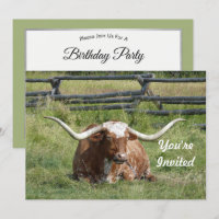 Cow Texas Longhorn Photo Anniversaire