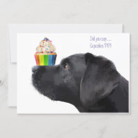 Cupcake - Black Lab