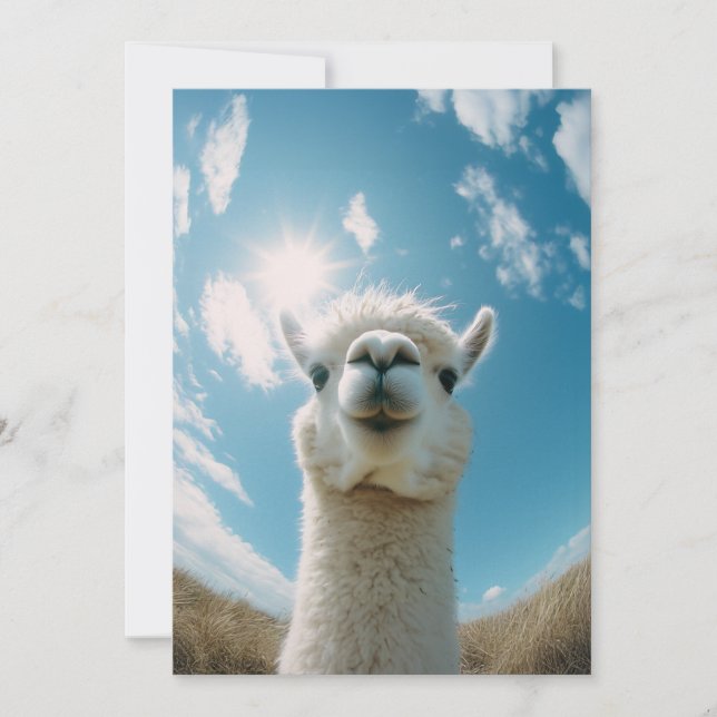 Invitation Curieux Alpaca sous le soleil (Devant)
