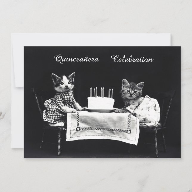 Invitation Cute Kittens Vintage fête d'anniversaire (Devant)