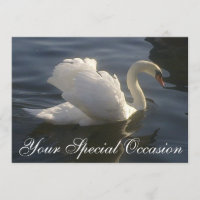 Invitation Cygne Blanc