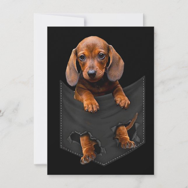 Invitation Dachshund Dans Ma Poche Cadeau De Chien Wiener Tec (Devant)