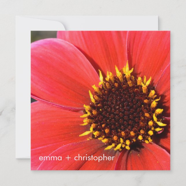 Invitation Dahlia rouge (Devant)
