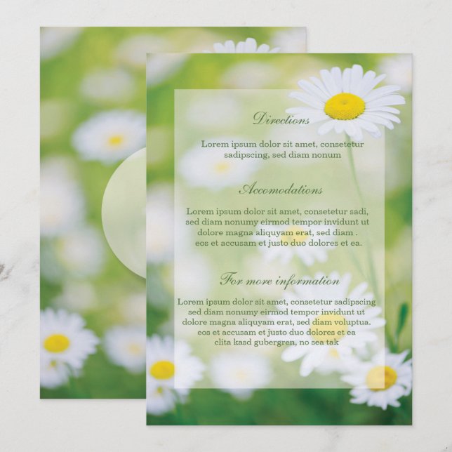 Invitation Daisy Daisies Fleur Floral Mariage d'été (Devant / Derrière)