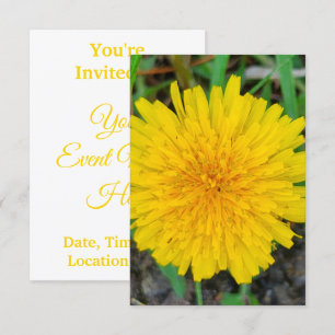 Invitation Dandelion