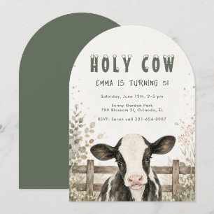 Invitation d'anniversaire 5 ans de fille de la fer