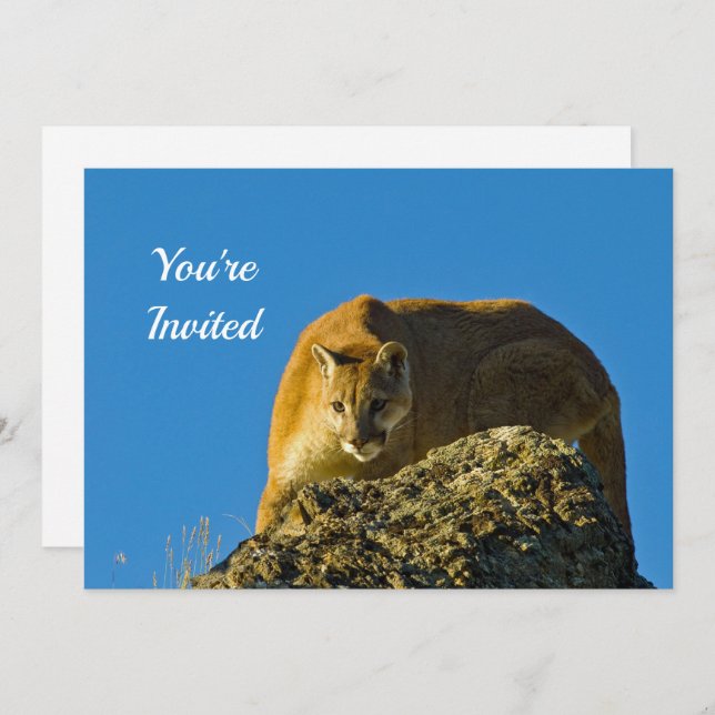 Invitation d'anniversaire Cougar (Devant / Derrière)