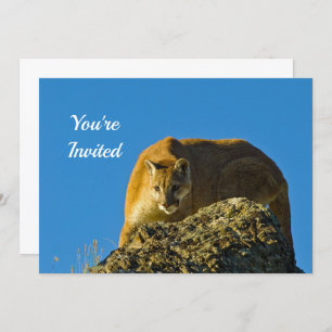 Invitation d'anniversaire Cougar