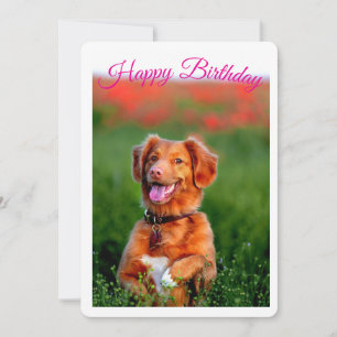 Invitation d'anniversaire de chiot mignon