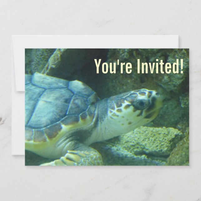 Invitation d'anniversaire de la tortue de mer (Devant)