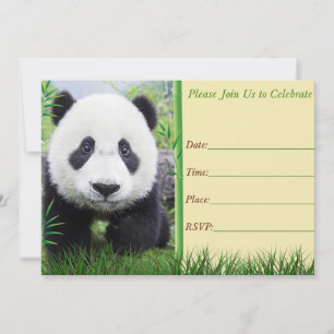Invitation d'anniversaire de panda