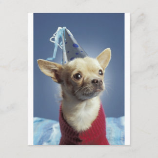 Invitation d'anniversaire du chien de fête