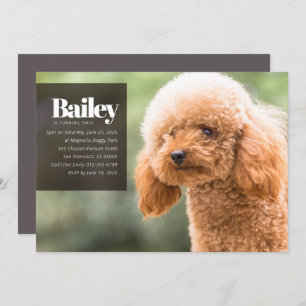 Invitation d'anniversaire pour un chien de marionn