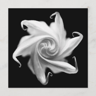 invitation de bourgeon floral de datura