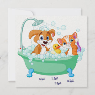 Invitation de chatte et de chien