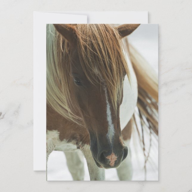 Invitation de cheval sauvage de mustang (Devant)