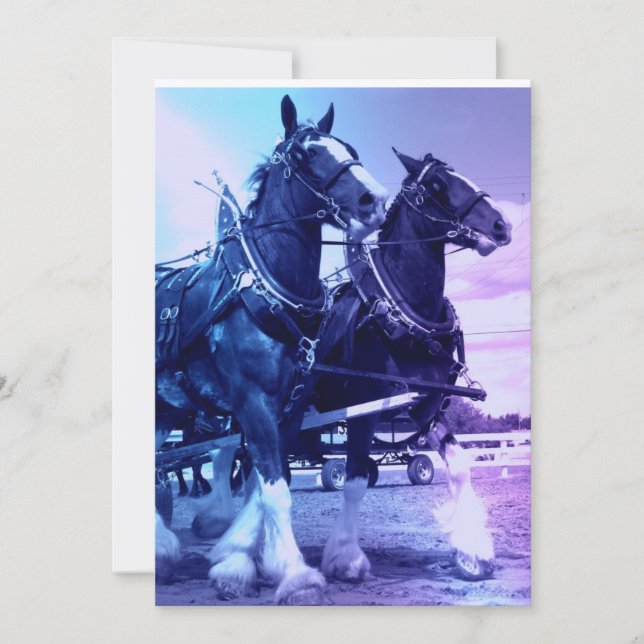 Invitation de chevaux de Clydesdale (Devant)