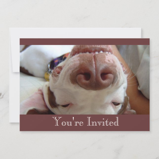 Invitation de Chiens heureux (Devant)