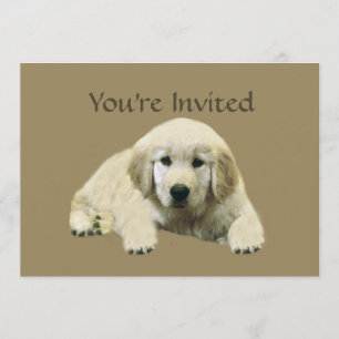 Invitation de chiot de golden retriever