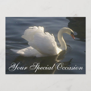 Invitation de cygne blanc