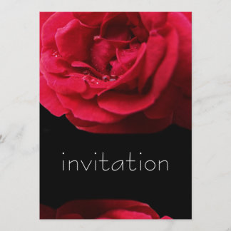 Invitation de fête d'anniversaire de baisses de