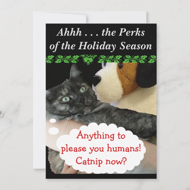 Invitation de fête détendu (Cat) par RoseWrites (Devant)